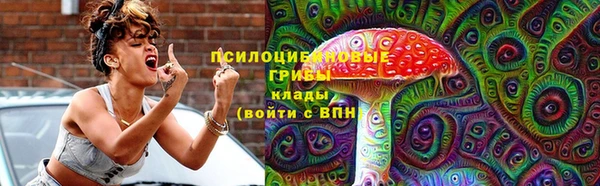 спиды Алзамай