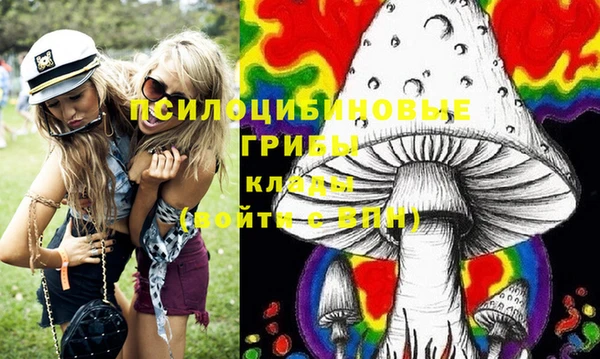 мет Аркадак